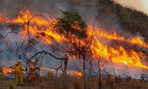 ¿Por qué en el incendio de Punilla los vecinos rechazan a los bomberos?