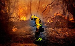 De incendios e incendiarios